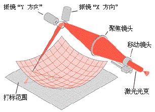 1551161926623212.jpg 111.jpg